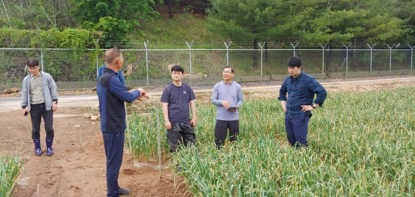 �ܾ籺 �췮 �ܾ縶�� ���� ��� ������