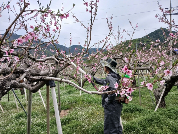 ��õ�� ��� �������� �ּ�ȭ �ѷ� ����