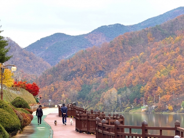 �ʰ��� �ܾ� �����濡�� ������ ������ ����