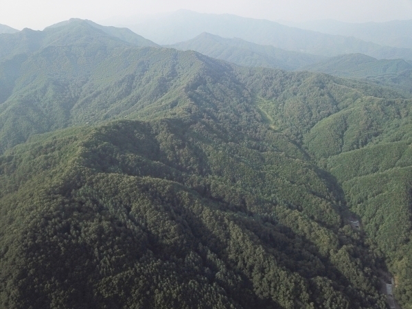 ���Ӱ����� ȯ���� ���ϴ� ��õ�ù����ȸ ����