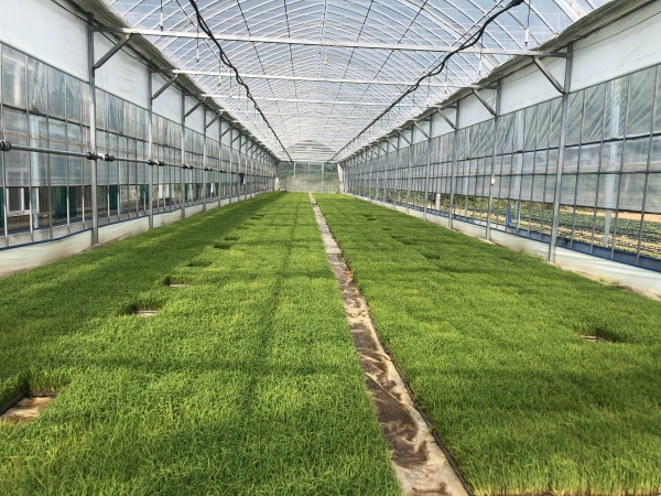 �ܾ籺 �� ���� �� �߾ƽ��� ���ڼҵ� ö�� ���