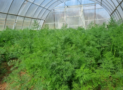 ��õ�� ���� ���� ��� ä�� �� �� ���� ����