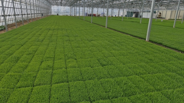 ��õ�� �������� �� ������ �յΰ� �������� ���� ��ȭ