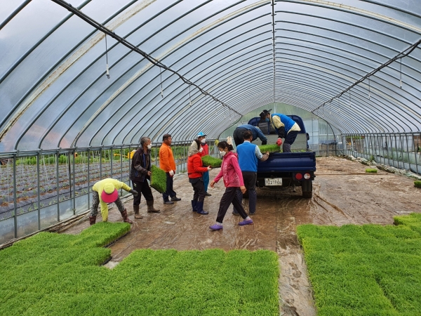 �ܾ籺 �� ���� ���� ��� ���� ���� Ȯ��