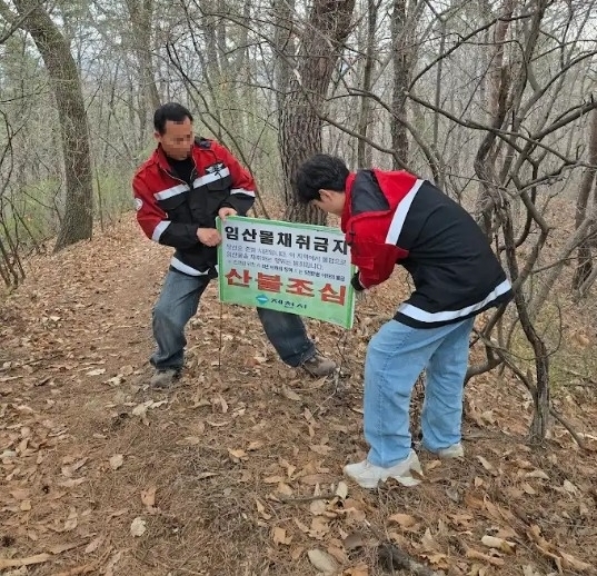 ��õ�� �ӻ깰 �ҹ� ä�� ��� ���濡 ���� ����