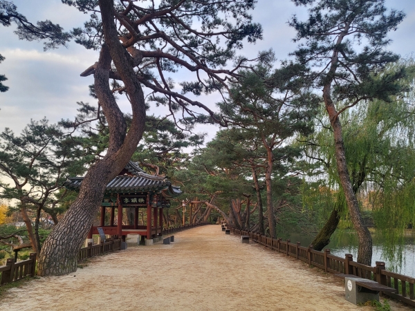 ��õ�� ���� �Ǹ��� ���� �ҳ��� ���߰���